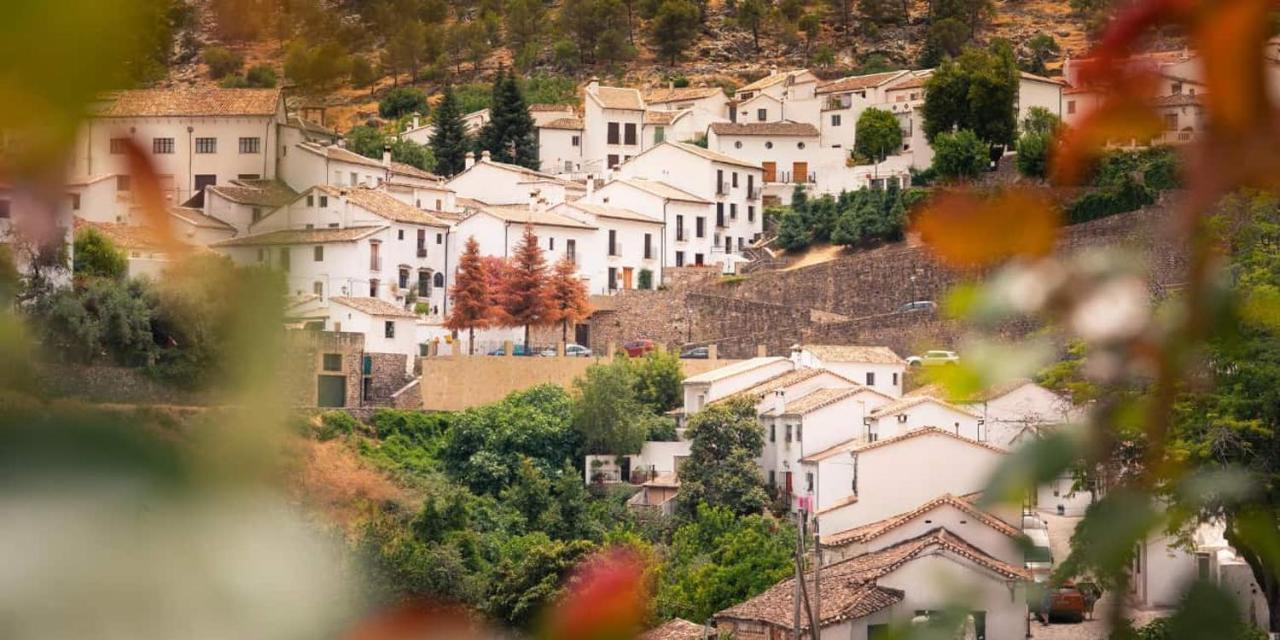 La Parra *