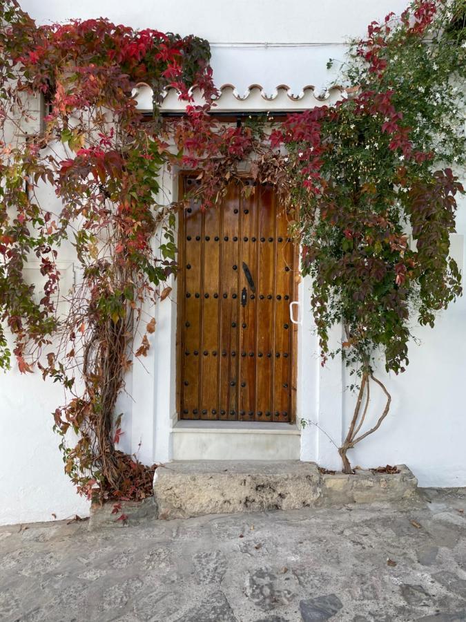 Apartment La Parra *